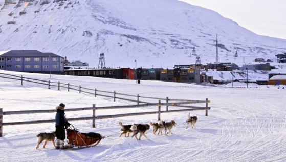 hinh-anh-cho-keo-xe-doc-quan-dao-svalbard