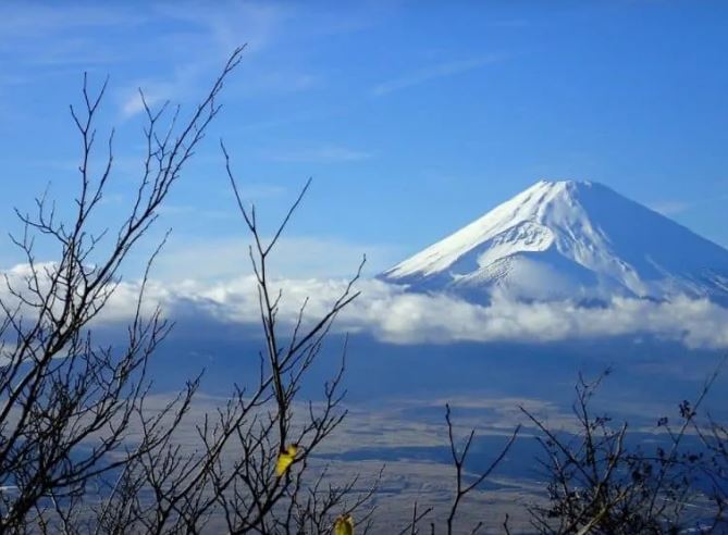 nui-fuji