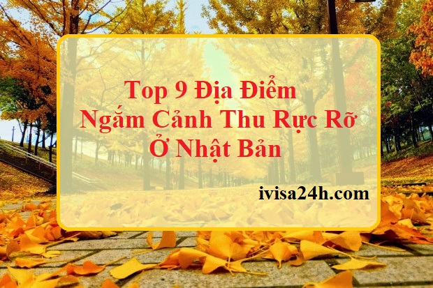 dia-diem-ngam-canh-thu-dep-ruc-ro-o-nhat-ban